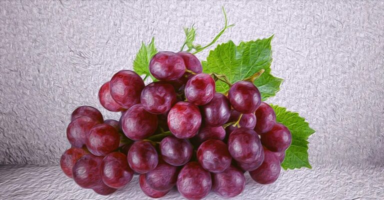 From better digestion to lowering cholesterol, eating red grapes has countless benefits