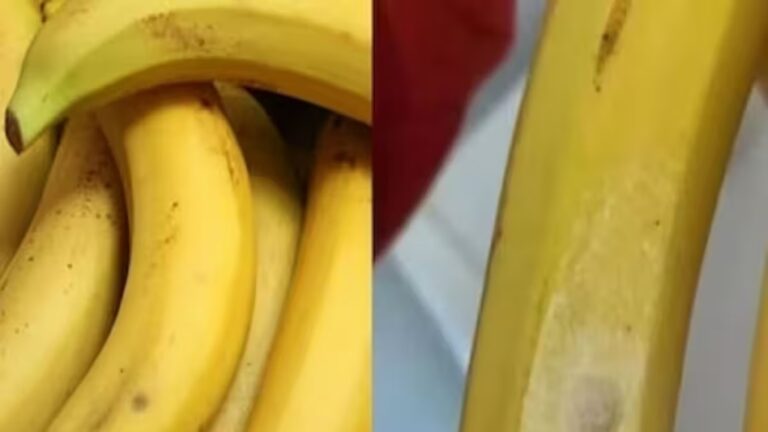 Do not eat such a banana even by mistake, this white spot can be fatal, you will lose your senses as soon as you burst it.