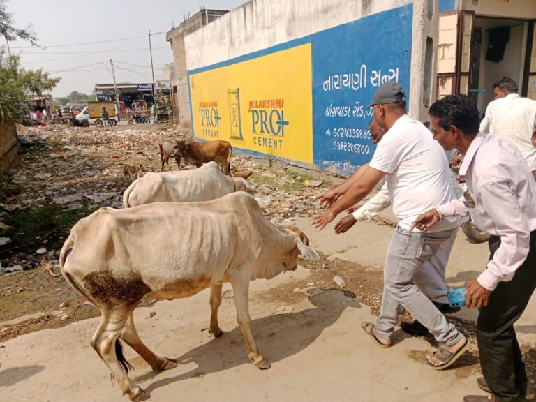 Jalod Municipality issued instructions to prevent and control animal cruelty in urban areas