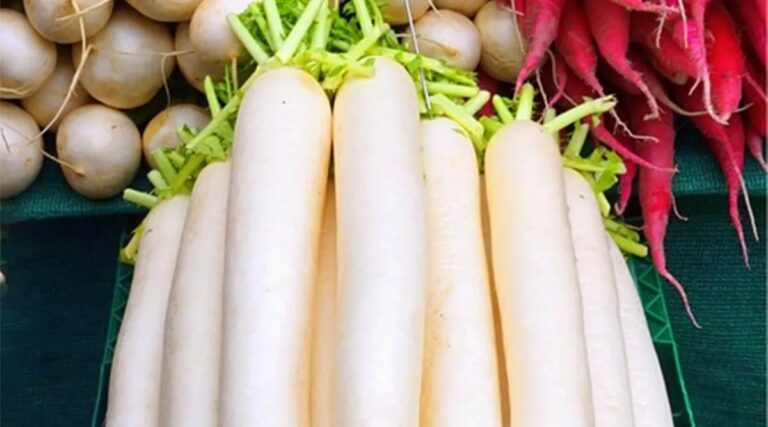 Radish is no less than medicine for the liver, these 5 reasons include it in your diet