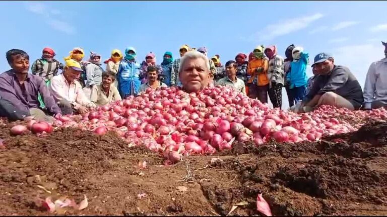 The farmer made a unique protest against this decision of the government, buried himself in onion in his own field