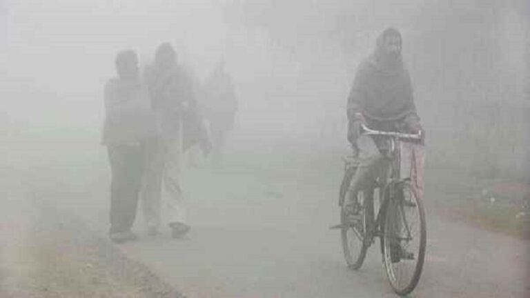 Cold snap in Gujarat, the temperature in most cities of the state dropped