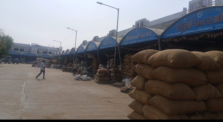 Seven shops in Deodar market yard were locked and stolen..., traders went on an indefinite strike