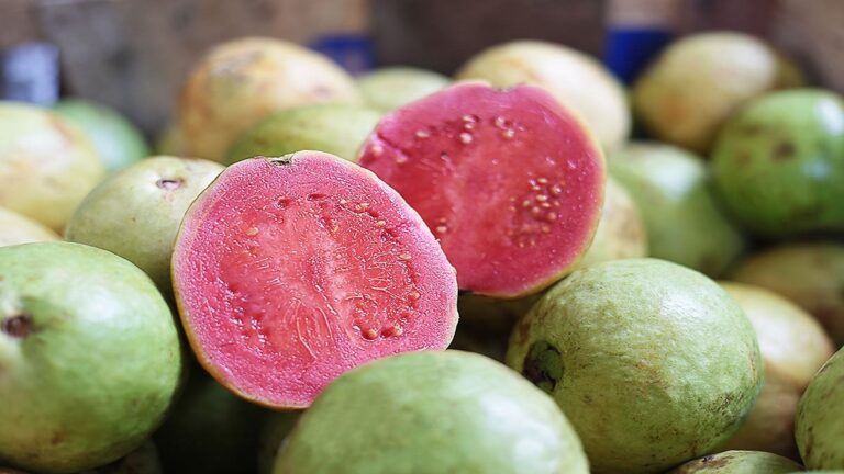 Pink guava is rich in properties, eating it in winter gives amazing benefits