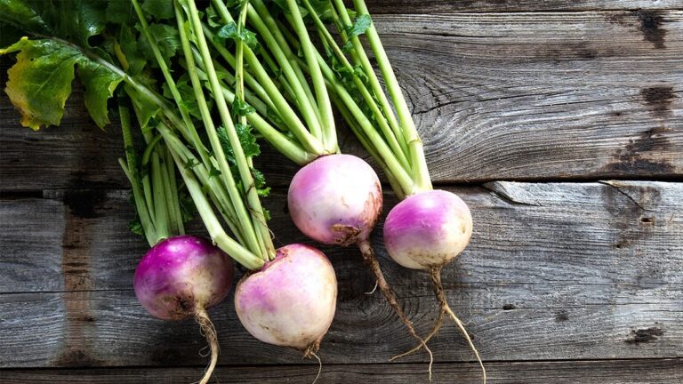 Turnips Benefits: From weight control to controlling high BP, eating turnips in winter has amazing benefits