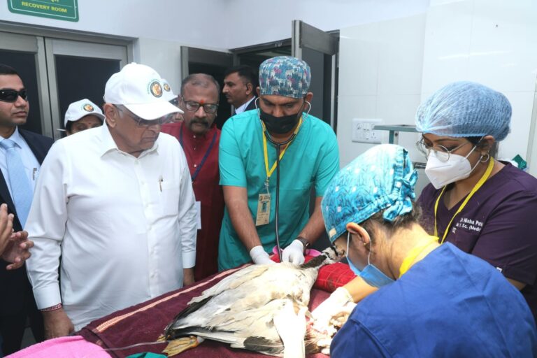 The Chief Minister visited the Wildlife Care Center in Bodakdev, Ahmedabad under Karuna Abhiyan