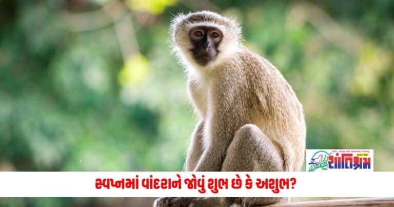 Seeing a monkey in a dream is auspicious or inauspicious? Find out what dream science says