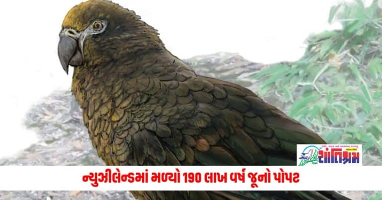 Offbeat News: ન્યુઝીલેન્ડમાં મળ્યો 190 લાખ વર્ષ જૂનો પોપટ, તેની લંબાઈ અને વજન જાણીને ચોંકી જશો