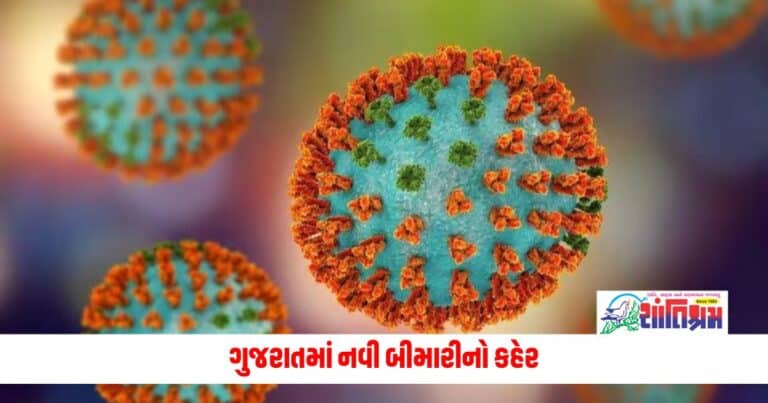 Swine Flu: ગુજરાતમાં નવી બીમારીનો કહેર, જાન્યુઆરીથી અત્યાર સુધી નોંધાયા 180 કેસ