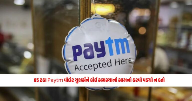 Business News: 85 ટકા Paytm વોલેટ યુઝર્સને કોઈ સમસ્યાનો સામનો કરવો પડ્યો ન હતો, RBIએ બાકીના લોકોને આપી આ સલાહ