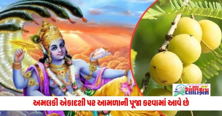 Astrology News: અમલકી એકાદશી પર આમળાની પૂજા કરવામાં આવે છે, જાણો તેનું મહત્વ અને શુભ સમય.