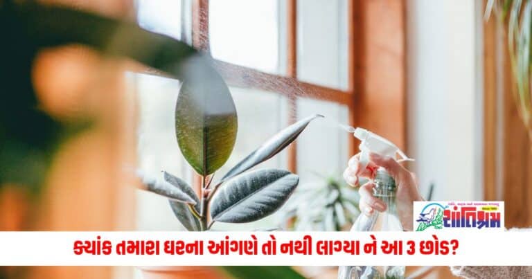 Vastu Tips: ક્યાંક તમારા ઘરના આંગણે તો નથી લાગ્યા ને આ 3 છોડ? તો તુરંત કરો આ કામ, નહીંતર..!