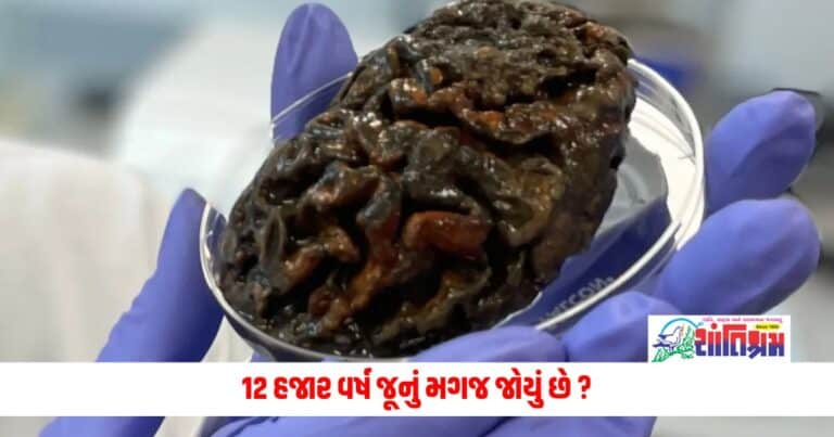 Oldest Human Brain: 12 હજાર વર્ષ જૂનું મગજ જોયું છે ? વિજ્ઞાનીકોની અનોખી ખોજ, કેવા ખુલશે રાઝ