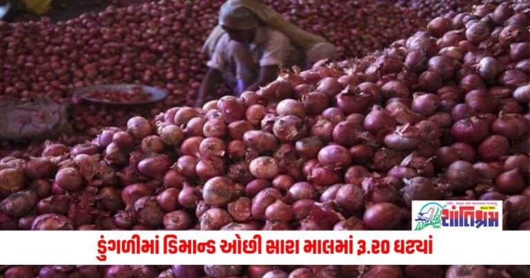 Onion Price : ડુંગળીમાં ડિમાન્ડ ઓછી સારા માલમાં રૂ.૨૦ ઘટ્યાં, જાણો આજનો સૌથી ઉચો ભાવ