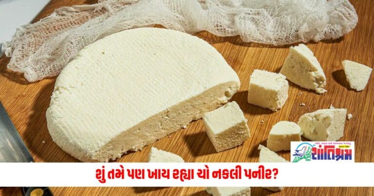 Gujarat News: શું તમે પણ ખાય રહ્યા ચો નકલી પનીર? હોટલ, રેસ્ટોરન્ટ અને ડેરીમાં મળતા પનીર પર વિશ્વાસ ના કરતા, ગુજરાતમાં અહીંથી ઝડપાયો મોટો જથ્થો