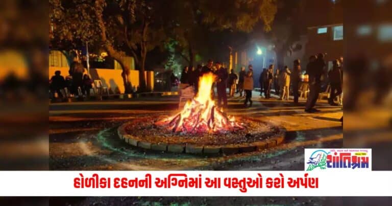 Holi 2024: હોળીકા દહનની અગ્નિમાં આ વસ્તુઓ કરો અર્પણ, પિતૃદોષ થશે દૂર 