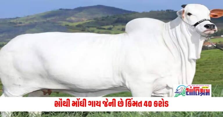 World's Most Expensive Cow: સૌથી મોંઘી ગાય જેની છે કિંમત 40 કરોડ, રહે છે બ્રાઝિલમાં પરંતુ ભારત સાથે છે સંકળાયેલી 