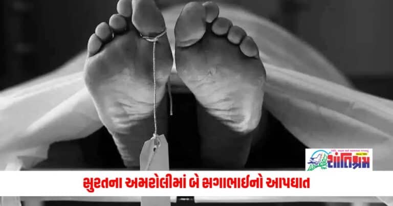 Surat News: સુરતના અમરોલીમાં બે સગાભાઈનો આપઘાત, 8 મહિના પહેલા એકના થયા હતા લગ્ન 