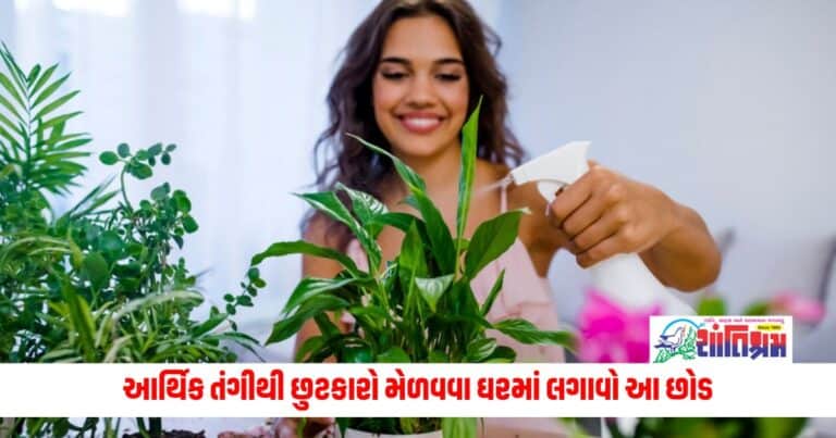 Vastu Tips: આર્થિક તંગીથી મેળવવો છે છૂટકારો? તો આજથી જ ઘરમાં લગાવો આ 3 છોડ