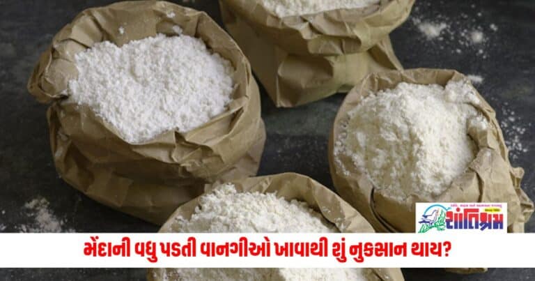 Health News: મેંદાની વધુ પડતી વાનગીઓ ખાવાથી શું નુકસાન થાય? ચાલો જોઈએ આપણે શું કરીએ છીએ