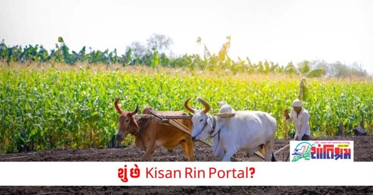 Business News: શું છે  Kisan Rin Portal, જાણો ખેડૂતોને કેવી રીતે લાભ મળે છે