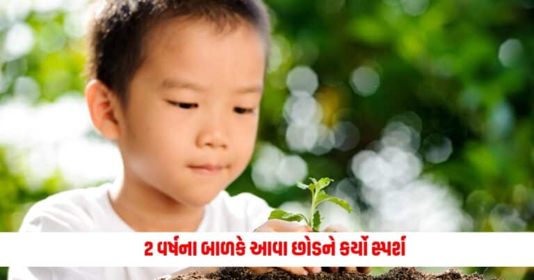 Ajab Gajab: 2 વર્ષના બાળકે આવા છોડને કર્યો સ્પર્શ, જોખમમાં મુકાયો હતો જીવ