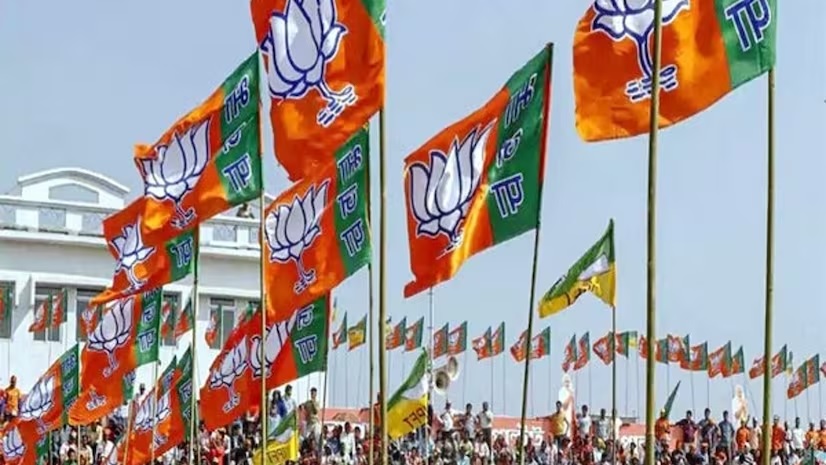 Loksabha Election 2024: લોકસભા ચૂંટણી માટે ભાજપે પ્રચારકોની યાદી કરી જાહેર, PM મોદી સહિત આટલા નામો 