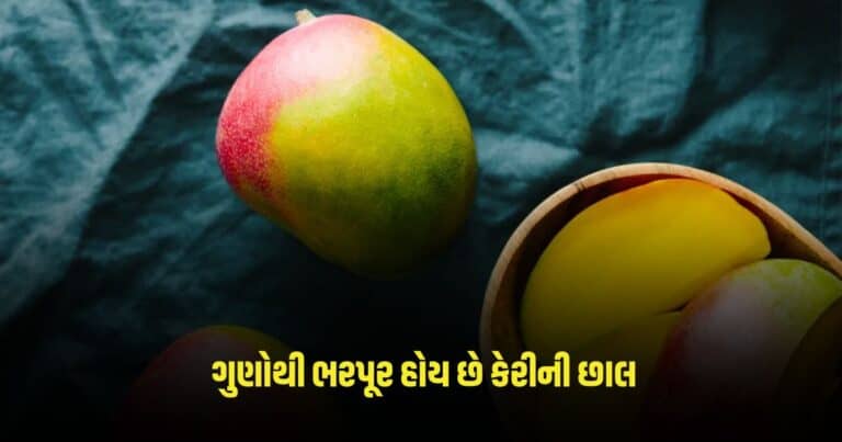 Benefits of Mango Peel: ઘણા પોષક તત્વોથી સમૃદ્ધ છે કેરી, સ્વાસ્થ્ય ગુણોથી ભરપૂર હોય છે કેરીની છાલ, જાણો