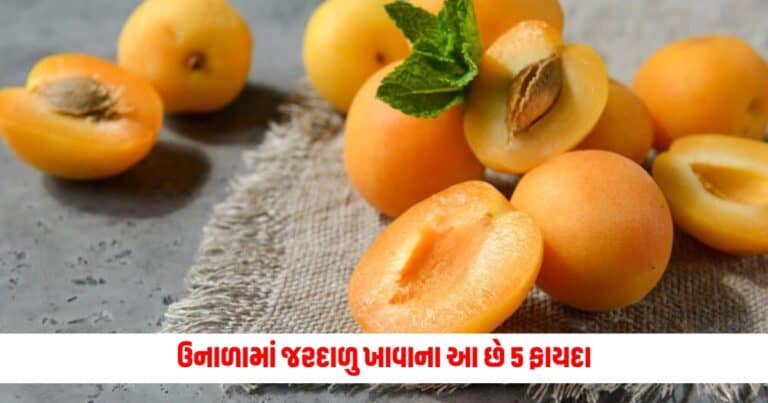 Benefits of Peaches: હૃદયથી પાચન સુધી, ઉનાળામાં જરદાળુ ખાવાના આ છે 5 ફાયદા