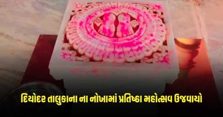 Diyodar News: દિયોદર તાલુકાના ના નોખામાં પ્રતિષ્ઠા મહોત્સવ ઉજવાયો.