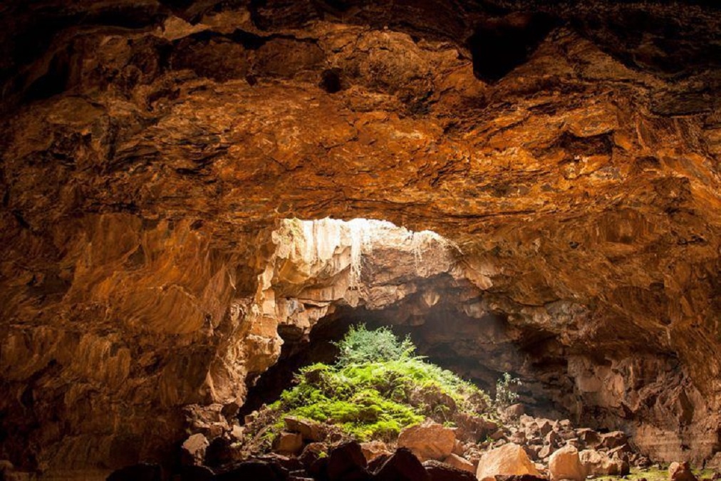 Deadliest Cave : આ છે વિશ્વની સૌથી ખતરનાક ગુફા, લાવી શકે છે આગામી રોગચાળો, શું ફરીથી મૃત્યુનો તાંડવ થશે?