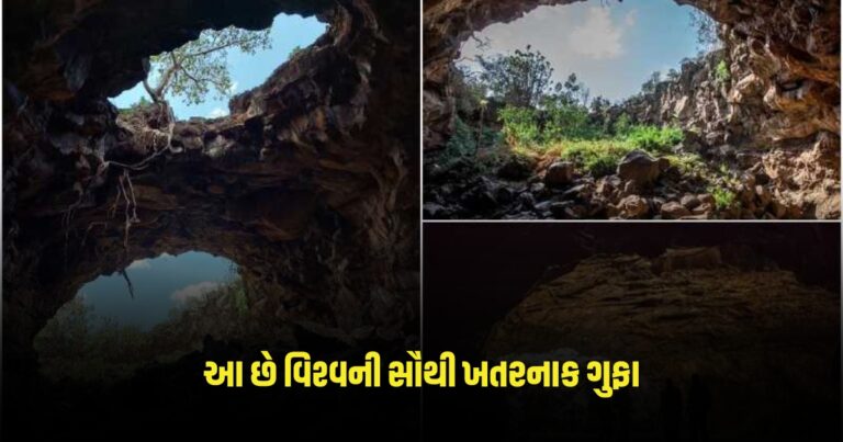 Deadliest Cave : આ છે વિશ્વની સૌથી ખતરનાક ગુફા, લાવી શકે છે આગામી રોગચાળો, શું ફરીથી મૃત્યુનો તાંડવ થશે?