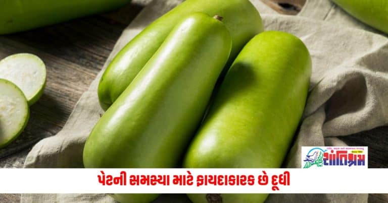 Health Tips: શરીરમાં ઠંડક આપવાથી લઈને પેટની સમસ્યા માટે ફાયદાકારક છે દૂધી, મોં બગાડતા પહેલા ફાયદા જાણી લેજો