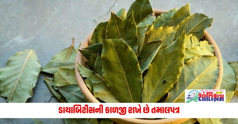 Tej Patta Benefits: સુગંધ વધારવાથી લઈને ભોજન સુધી, તમાલપત્ર ડાયાબિટીસની કાળજી રાખે છે, આ છે ફાયદા