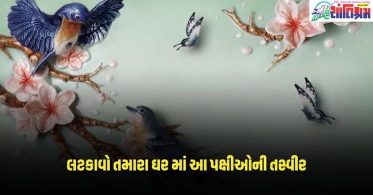 Vastu Tips : લટકાવો તમારા ઘર માં આ પક્ષીઓની તસ્વીર, વાતાવરણ રહેશે ઉર્જાથી ભરપૂર