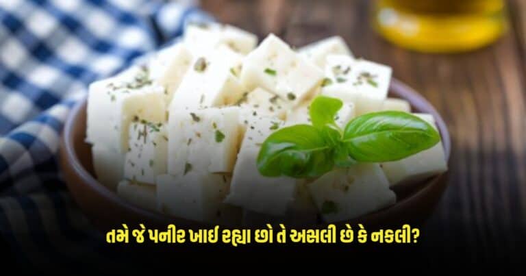 How To Check Paneer AT Home: તમે જે પનીર ખાઈ રહ્યા છો તે અસલી છે કે નકલી? ઘરે જ સરળ પદ્ધતિઓથી મિનિટોમાં જાણો