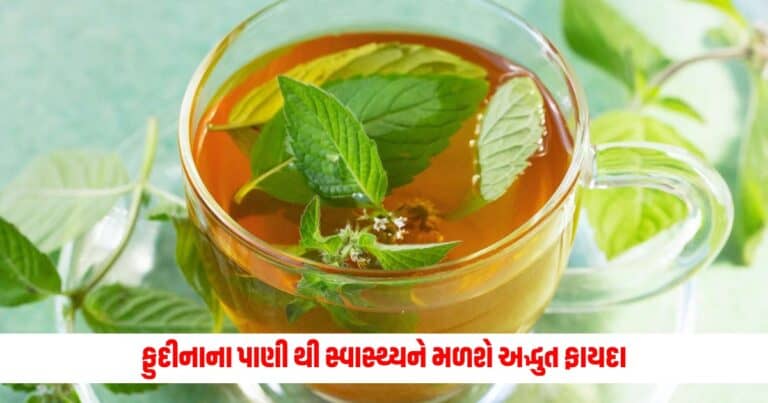 Mint Water Benefits: ઉનાળામાં રોજ પીવો ફુદીનાનું પાણી, સ્વાસ્થ્યને મળશે અદ્ભુત ફાયદા