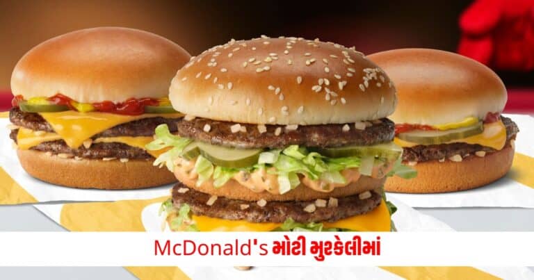 National News : McDonald's મોટી મુશ્કેલીમાં, બર્ગરની થઈ રહી છે તપાસ, લાગી શકે છે આટલો દંડ