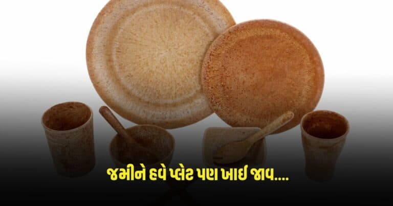 Edible Cutlery: જમીને હવે પ્લેટ પણ ખાઈ જાવ, કારણ જાણશો તો થશે કે આ શું ? પણ સાચું છે.