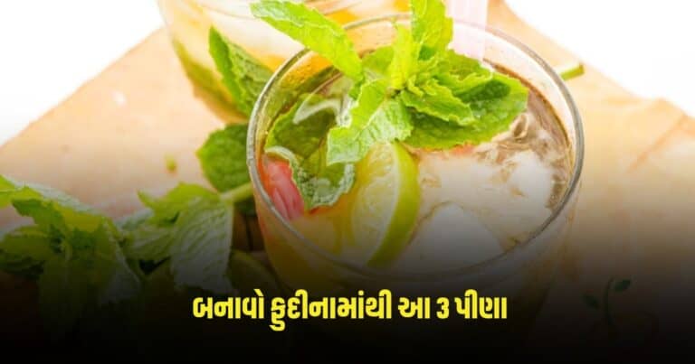 Refreshing Mint Drinks: ગરમીથી રાહત મેળવવા માટે બનાવો ફુદીનામાંથી આ 3 પીણા