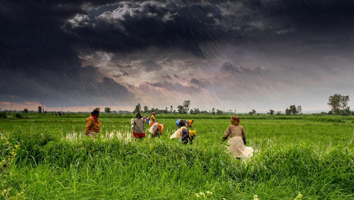 Gujarat Weather Forecast: ગરમીમાંથી રાહત! એપ્રિલમાં એકસાથે બે આગાહી, ગરમી સાથે વરસાદ પડે તેવી શક્યતા