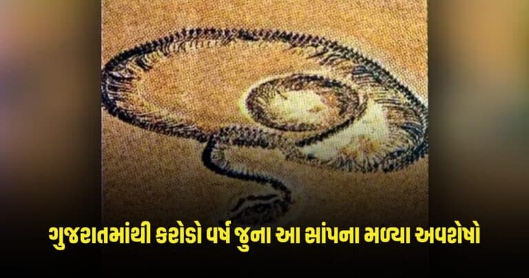 Gujarat News : ગુજરાતમાંથી કરોડો વર્ષ જુના આ સાંપના મળ્યા અવશેષો, કદમાં એનાકોન્ડા કરતા પણ હતા મોટા