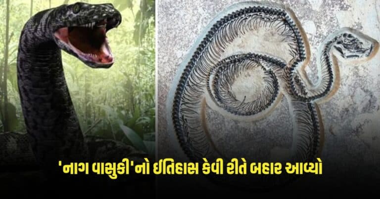 Vasuki Indicus : IITના રિસર્ચમાં 'નાગ વાસુકી'નો ઈતિહાસ કેવી રીતે બહાર આવ્યો, આ સાપ હતો આટલો વજની અને આટલો લાંબો