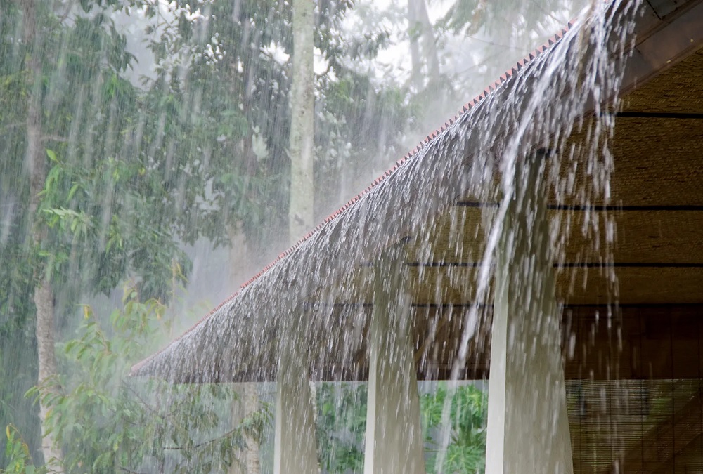 Imd Monsoon : આ વર્ષે મેઘ રાજા કરશે પાણીથી તરબોર, દેશના આટલા રાજ્યોમાં મુકશે મન મુકીને, જાણો IMDના રીપોર્ટ મહત્વની બાબતો