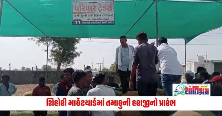 Gujarat News: શિહોરી માર્કેટયાર્ડમાં તમાકુની હરાજીનો પ્રારંભ, જાણો કેટલો આવ્યો ભાવ ?