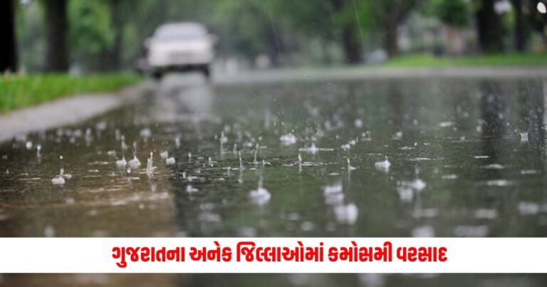 Unseasonal Rain : ગુજરાતના અનેક જિલ્લાઓમાં કમોસમી વરસાદથી રાહત, ખેડૂતોની ચિંતામાં થયો વધારો