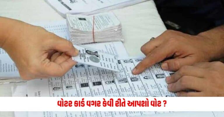 vote without voter card : વોટર કાર્ડ વગર વોટ આપવો છે? તો જાણી લ્યો કયા દસ્તાવેજો સાથે તમે મત આપી શકો છો