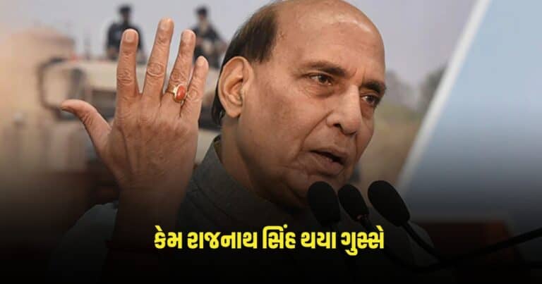 Rajnath Singh: Conspiracy to undermine the country's security, why Rajnath Singh got angry