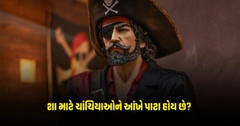 Why Pirates Wear Eye Patches: શા માટે ચાંચિયાઓને આંખે પાટા હોય છે? શું તમે જાણો છો કારણ 