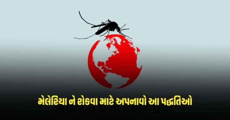 World Malaria Day 2024: જીવલેણ બની શકે છે મેલેરિયા, ફેલાવાને રોકવા માટે અપનાવો આ પદ્ધતિઓ